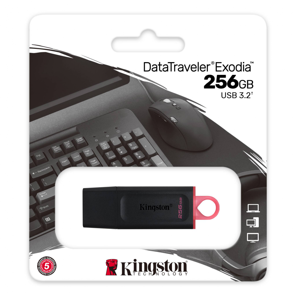 Kingston Data Traveler Exodia Onyx DTX USB flash memorija 256GB 3.2 crna