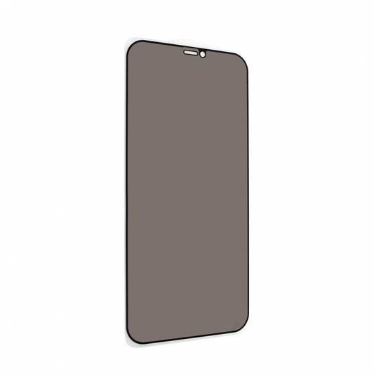 Zastitno staklo Tempered Glass Privacy 2.5D full glue za iPhone 12 Max Pro 6.7 crna