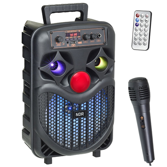 Bluetooth zvucnik NDR-P66