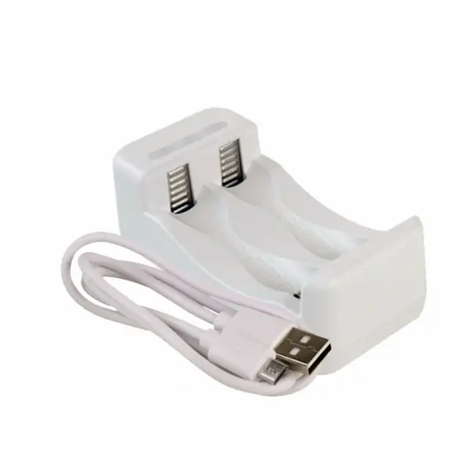 ANSMANN Punjac baterija BASIC II + 2xAA 1300mAh 1001-0119-01