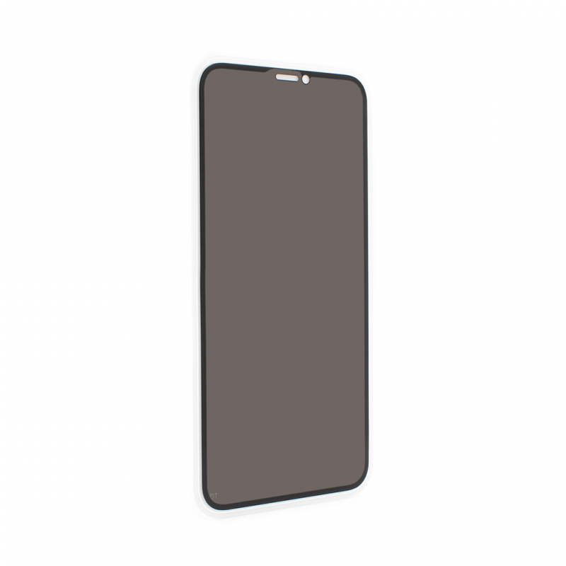 Zastitno staklo Tempered Glass Privacy 2.5D full glue za iPhone XR crni