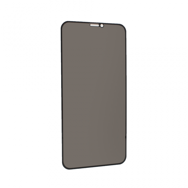 Zastitno staklo Tempered Glass Privacy 2.5D full glue za iPhone 11 6.1 crna