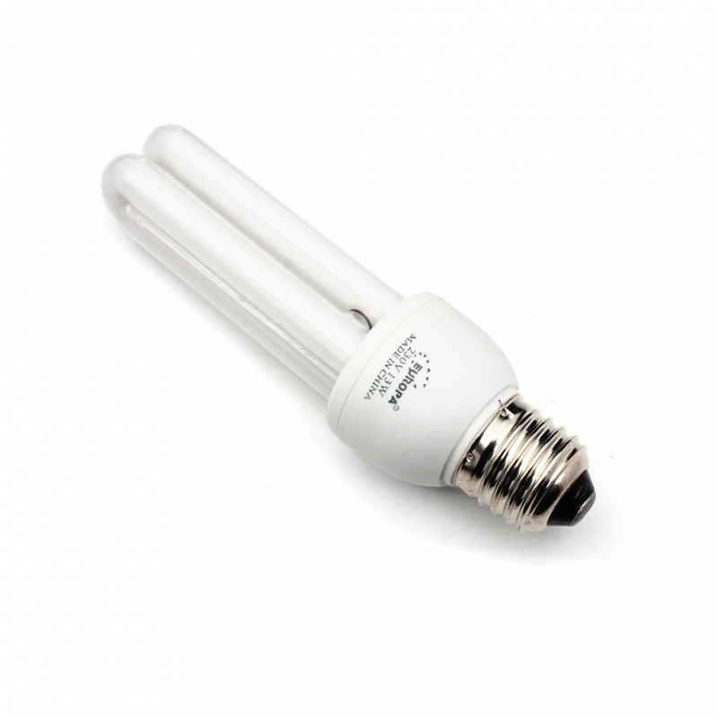 Stedna sijalica E27 13W 2U