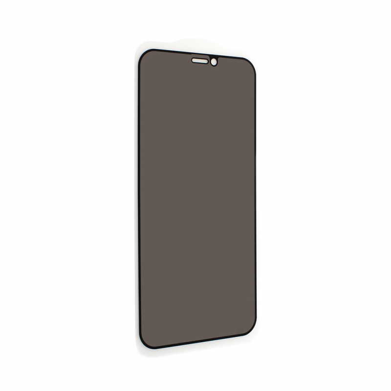 Zastitno staklo Tempered Glass Privacy 2.5D full glue za iPhone 12 Mini 5.4 crna