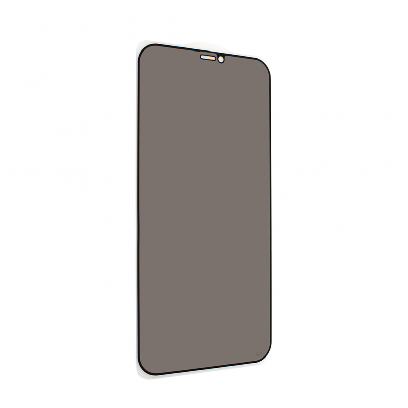 Zastitno staklo Tempered Glass Privacy 2.5D full glue za iPhone 12 Max Pro 6.7 crna