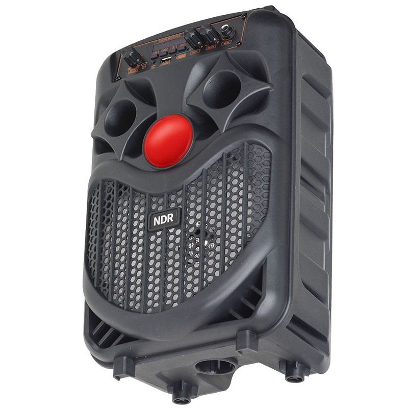 Bluetooth zvucnik NDR-P66