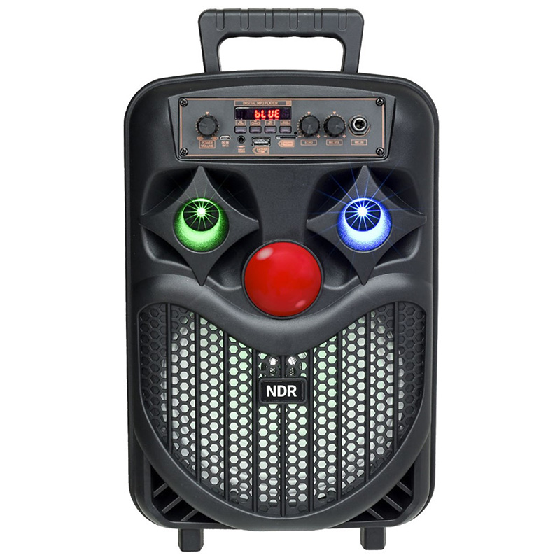 Bluetooth zvucnik NDR-P66