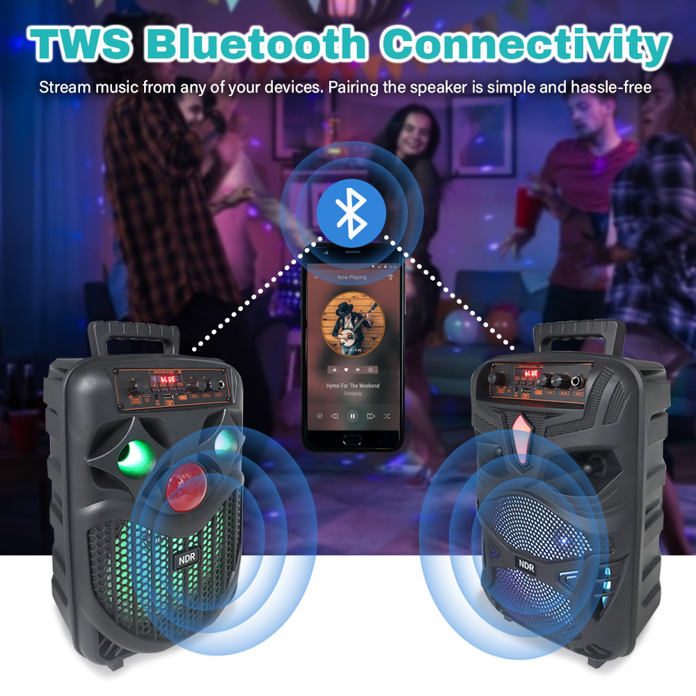 Bluetooth zvucnik NDR-P66