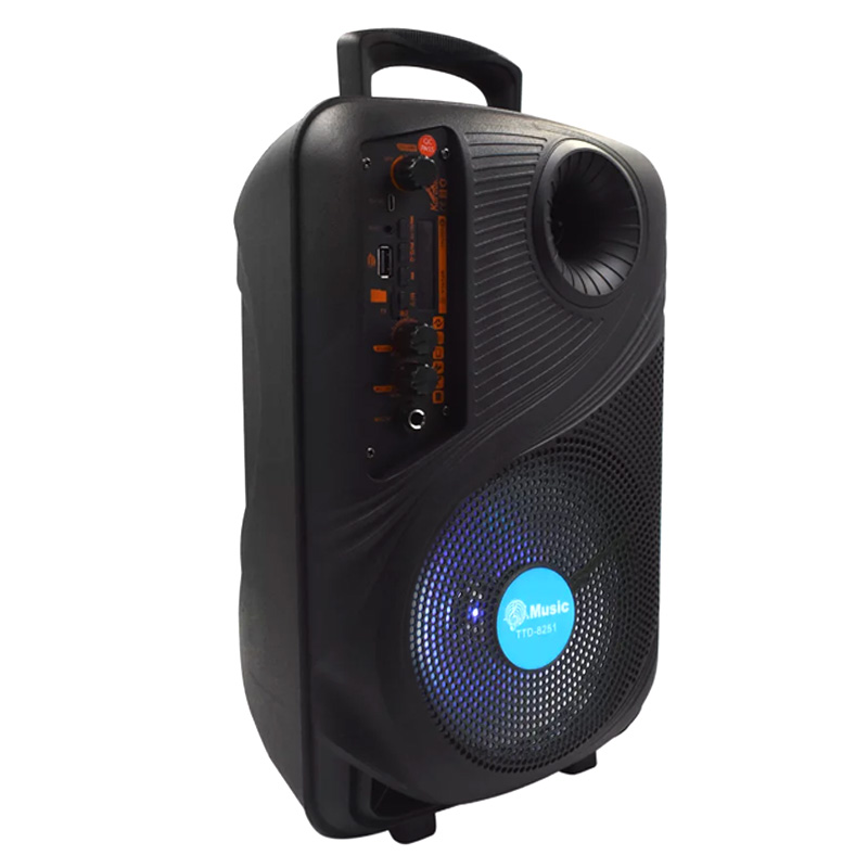 Bluetooth zvucnik TTD-8251 8"