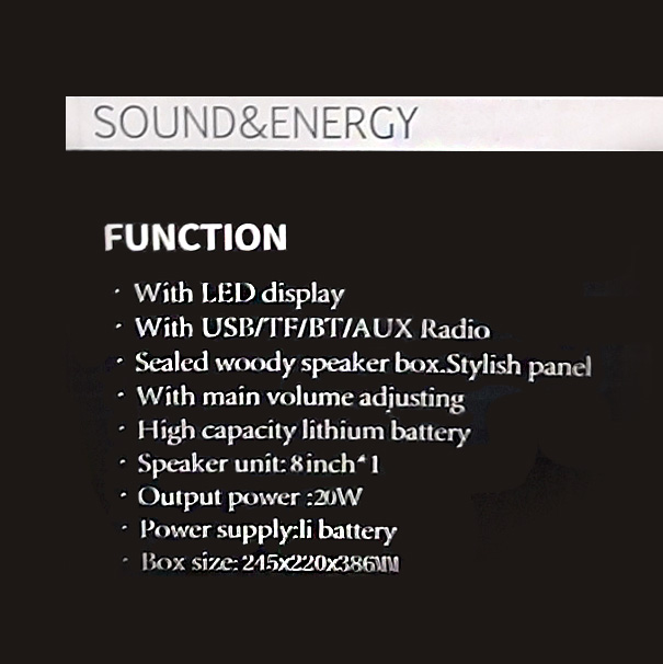 Bluetooth zvucnik TTD-8251 8"