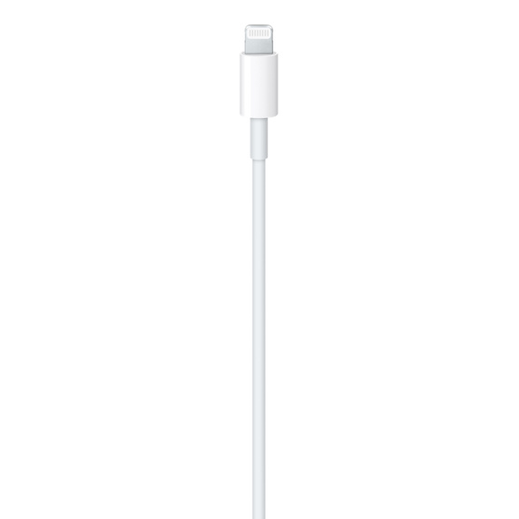 Apple data kabl Type C na Lightning 1m (MUQ93ZM/a)