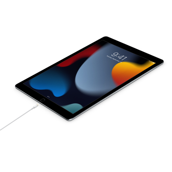 Apple data kabl Type C na Lightning 1m (MUQ93ZM/a)