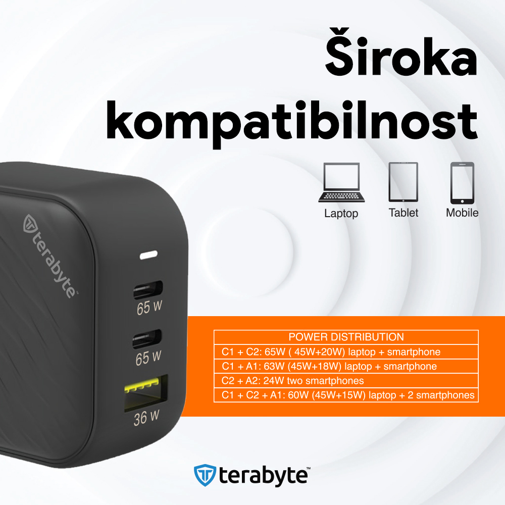 Punjac univerzalni Terabyte TR65W, GaN, PPS, PD 3.0, QC 3.0, 65W sa PD Type c kablom crni CE