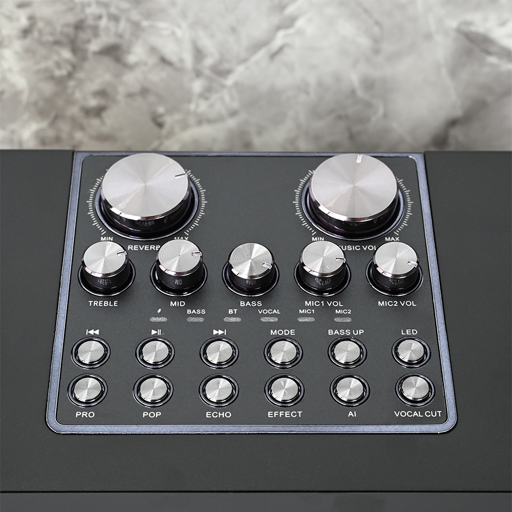Bluetooth zvucnik sa mikrofonom YS201 crni