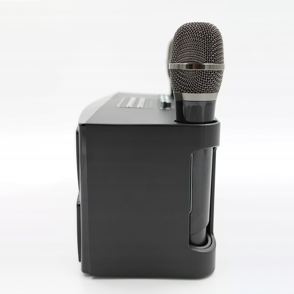 Bluetooth zvucnik sa mikrofonom YS201 crni
