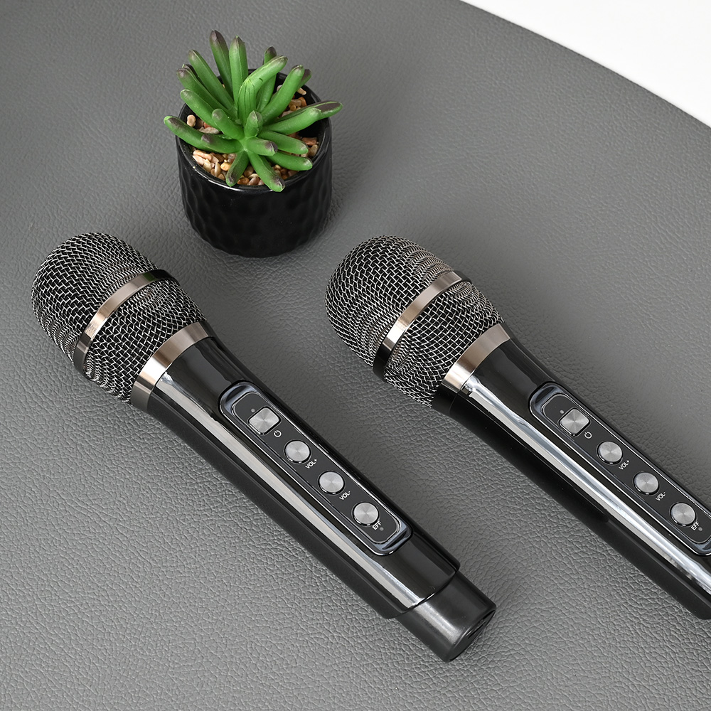 Bluetooth zvucnik sa mikrofonom YS201 crni
