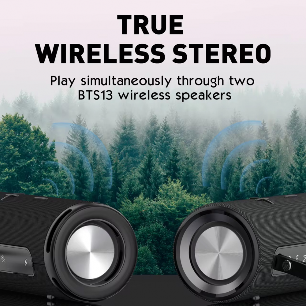 Bluetooth zvucnik LDNIO BTS 13, 10W, crni