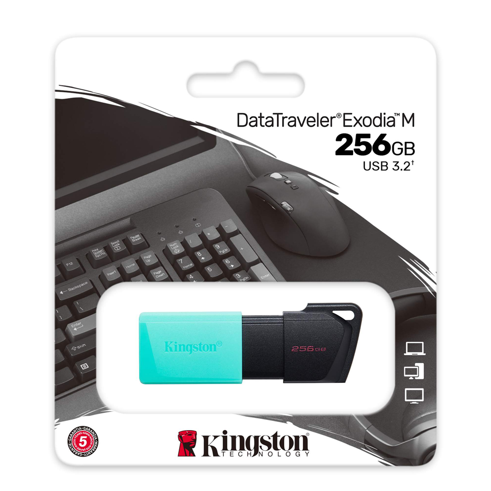 Kingston Data Traveler Exodia Onyx DTXM USB flash memorija 256GB 3.2 crna