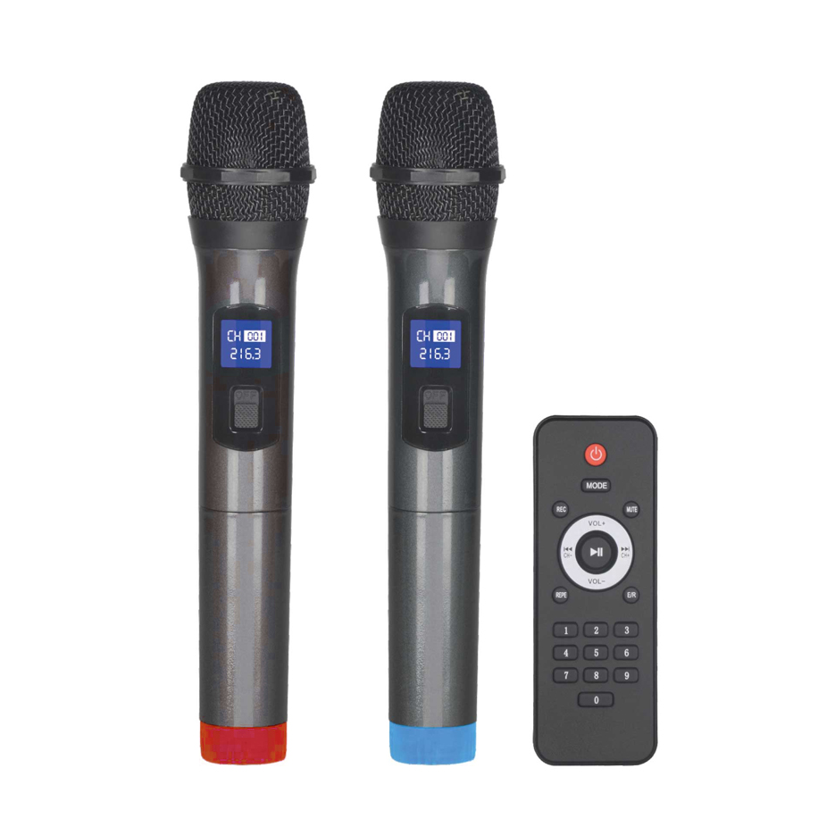 Bluetooth zvucnik NDR-2102 100W crni