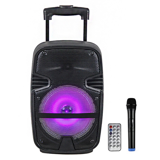 Bluetooth zvucnik NDR-A15 15" 40W