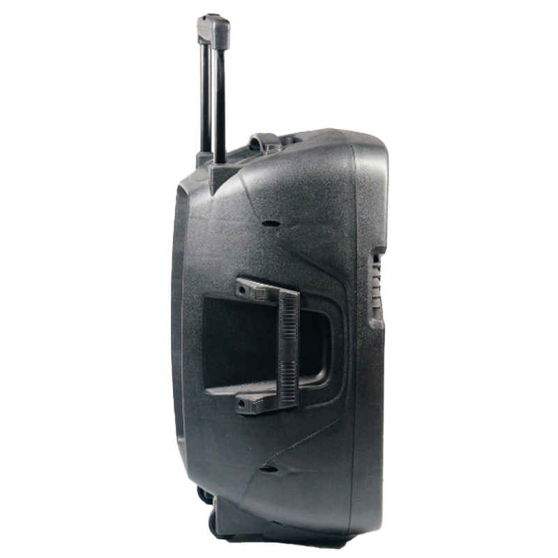 Bluetooth zvucnik NDR-A15 15" 40W