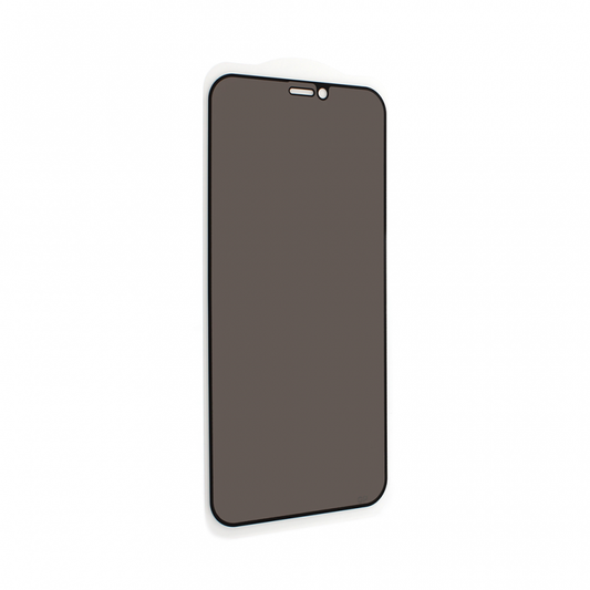Zastitno staklo Tempered Glass Privacy 2.5D full glue za iPhone 12 Mini 5.4 crna