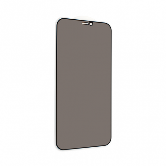 Zastitno staklo Tempered Glass Privacy 2.5D full glue za iPhone 12/12 Pro 6.1 crna