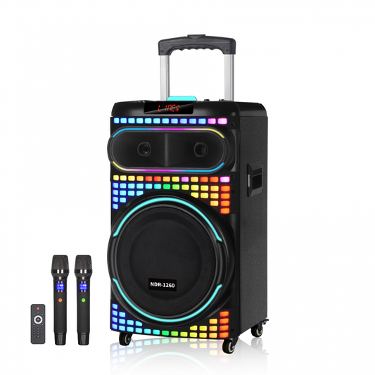 Bluetooth zvucnik NDR-1260 80W crni