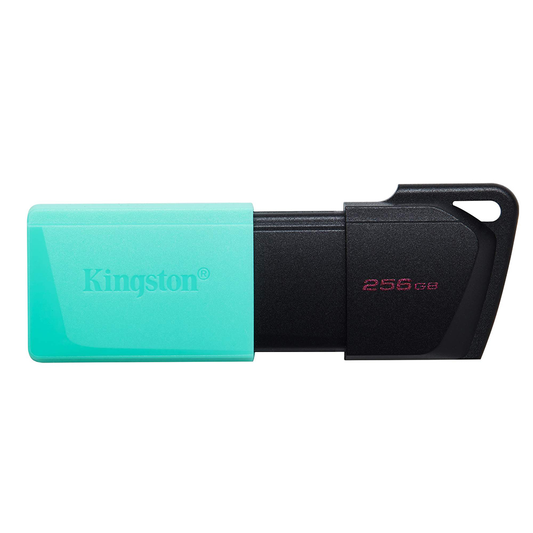 Kingston Data Traveler Exodia Onyx DTXM USB flash memorija 256GB 3.2 crna