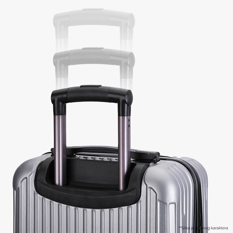 Kofer Stripe sivi EL 26"
